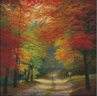 Autumn Trails